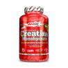 CREATINA MONOHIDRATO AMIX 220 CAPSULAS